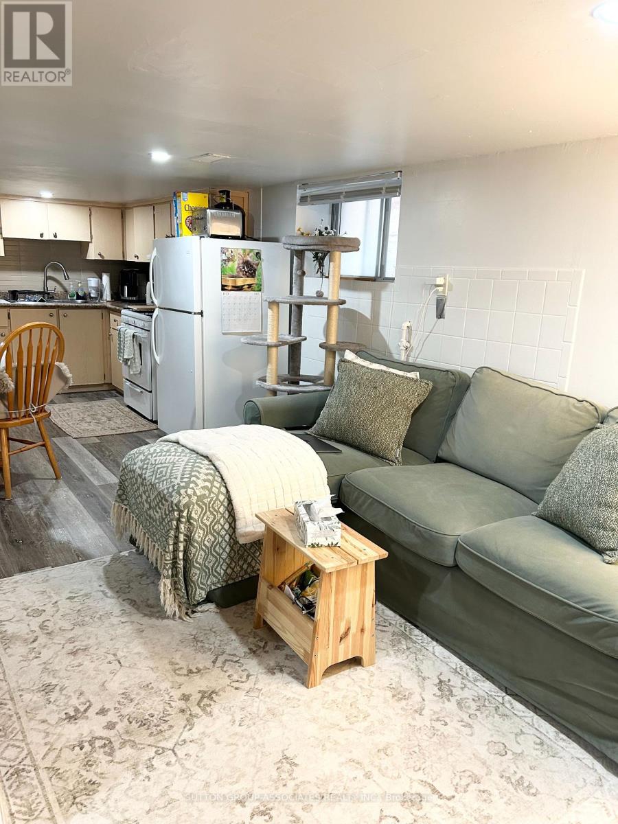 Lower Level - 21 Delaware Avenue, Toronto, Ontario  M6H 2S8 - Photo 9 - C12468808