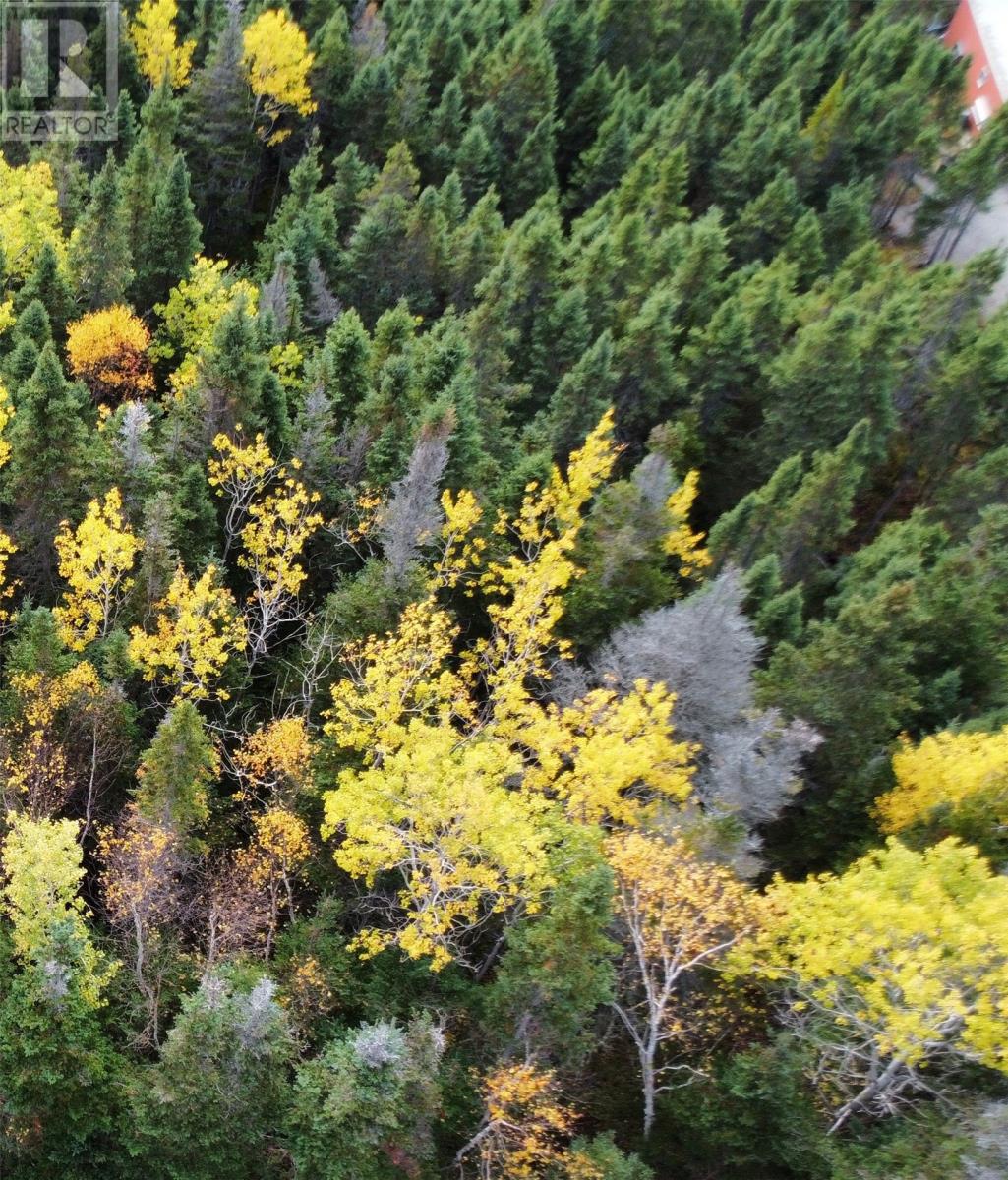 000 Fifth Road, South Brook, Newfoundland & Labrador  A0J 1S0 - Photo 2 - 1291640