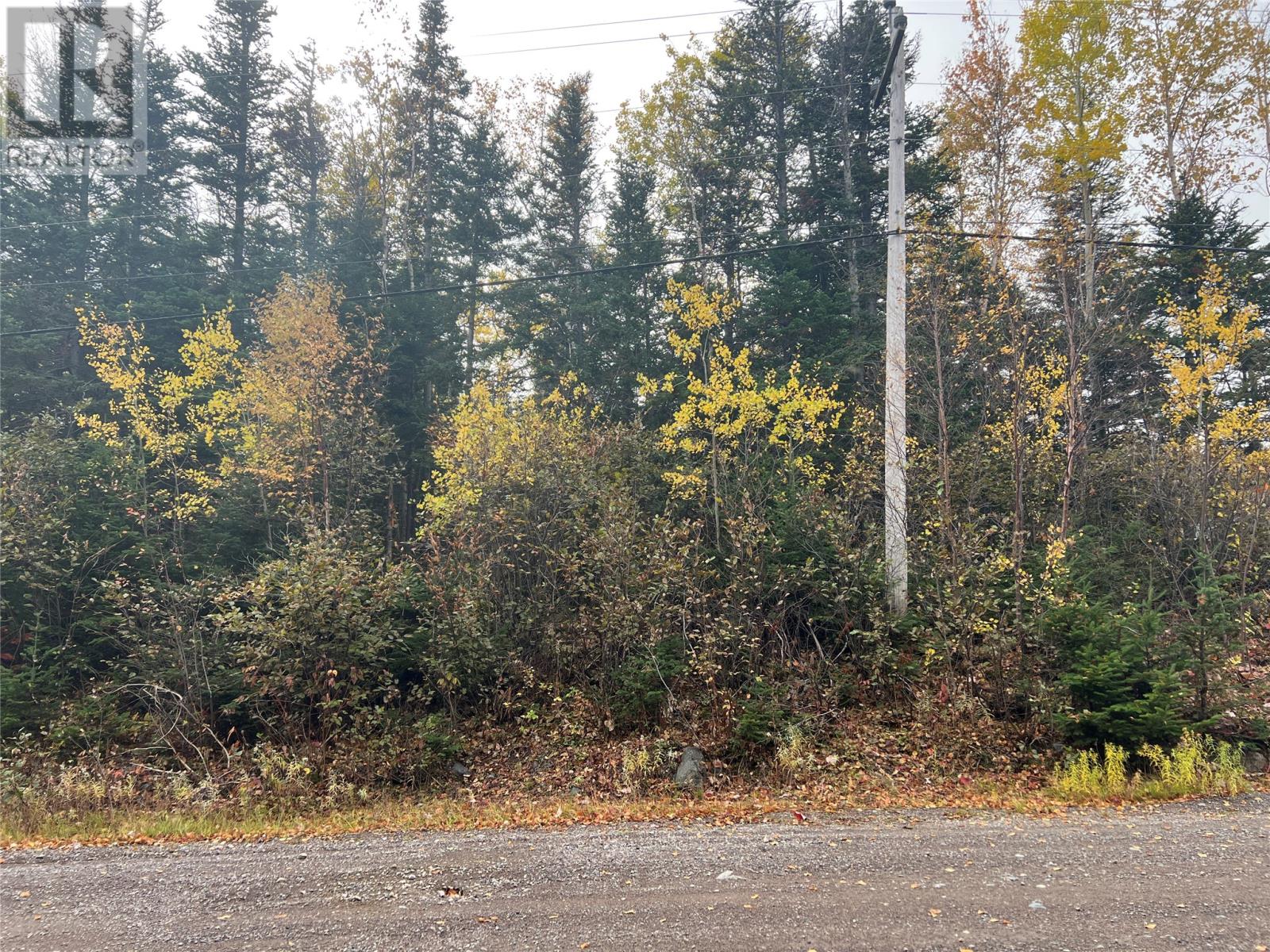 000 Fifth Road, South Brook, Newfoundland & Labrador  A0J 1S0 - Photo 3 - 1291640