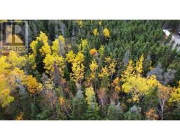 000 Fifth Road, South Brook, Newfoundland & Labrador