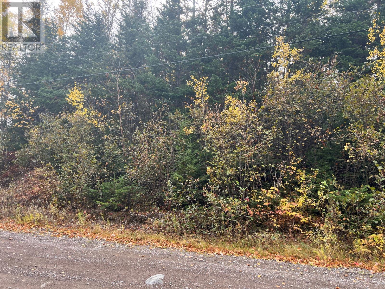 00 Fifth Road, South Brook, Newfoundland & Labrador  A0J 1S0 - Photo 3 - 1291638