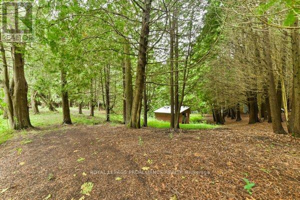 486 Waites Road, Cramahe, Ontario  K0K 1S0 - Photo 44 - X12434573