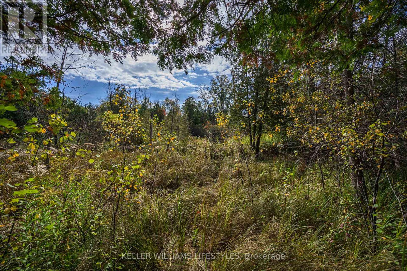 15083 Medway Road, Middlesex Centre, Ontario  N0M 1C0 - Photo 36 - X12446266