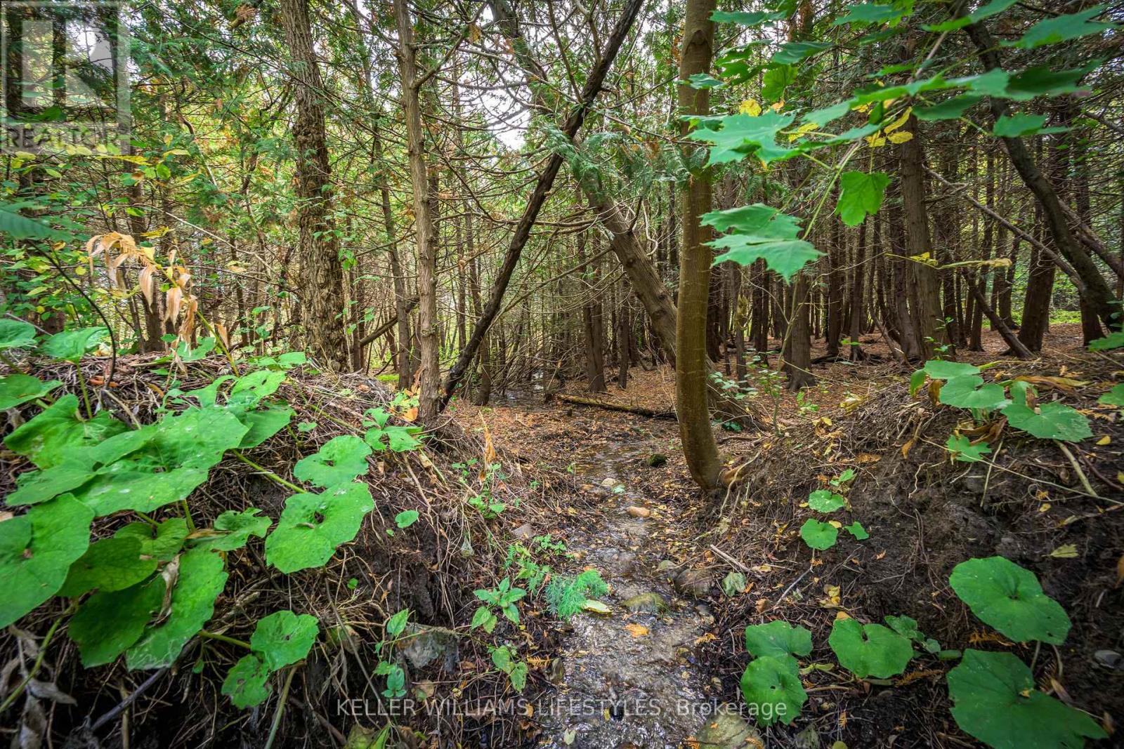 15083 Medway Road, Middlesex Centre, Ontario  N0M 1C0 - Photo 32 - X12446266