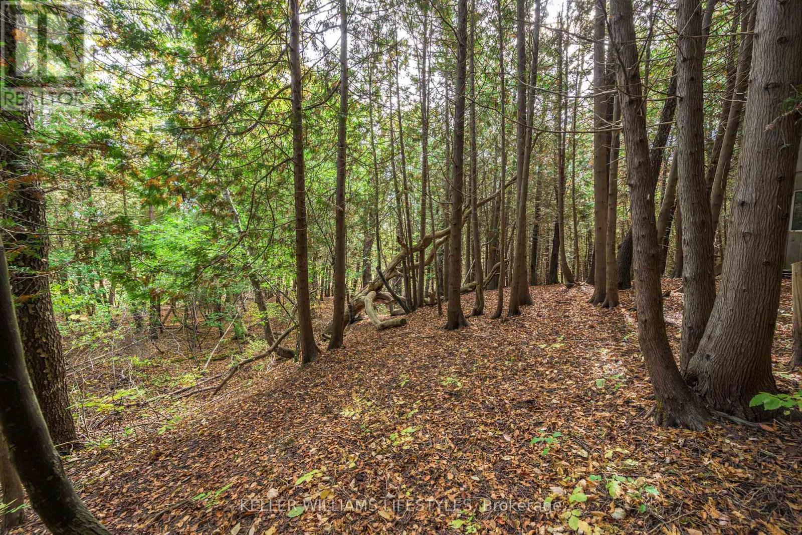 15083 Medway Road, Middlesex Centre, Ontario  N0M 1C0 - Photo 33 - X12446266