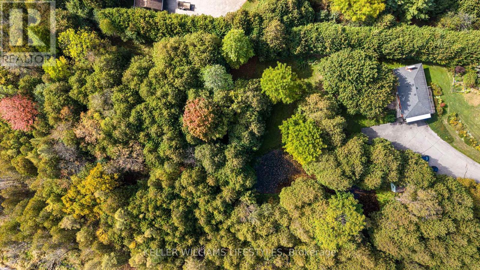 15083 Medway Road, Middlesex Centre, Ontario  N0M 1C0 - Photo 3 - X12446266