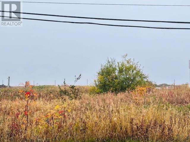 297 Main Street, New Wes Valley, Newfoundland & Labrador  A0G 4R0 - Photo 3 - 1291687