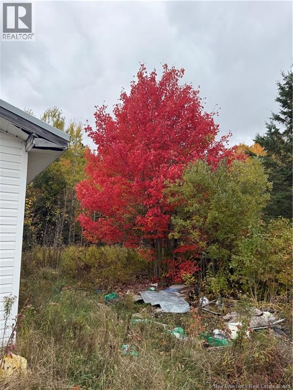 3049 Route 760, Bethel, New Brunswick  E5C 0G3 - Photo 35 - NB128756