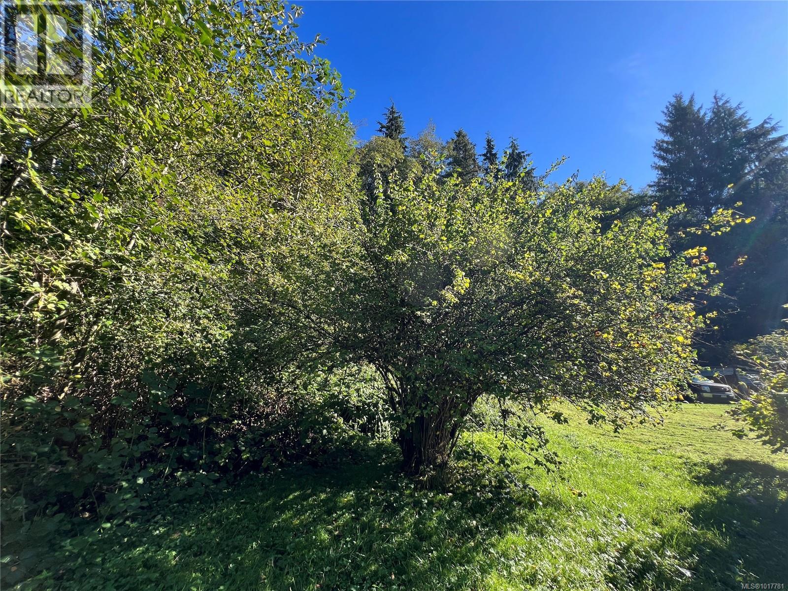 0 Rupert Inlet, Port Alice, British Columbia  V0N 2N0 - Photo 24 - 1017781