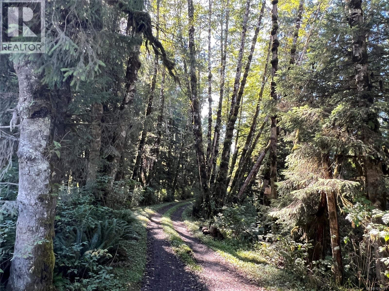 0 Rupert Inlet, Port Alice, British Columbia  V0N 2N0 - Photo 26 - 1017781