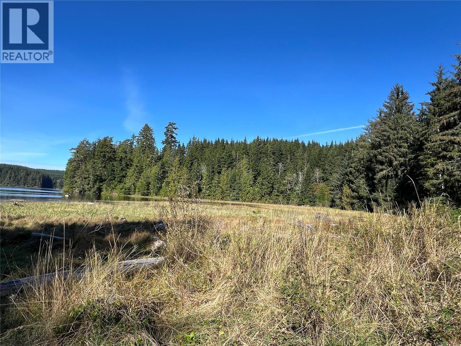 0 Rupert Inlet, Port Alice, British Columbia  V0N 2N0 - Photo 29 - 1017781