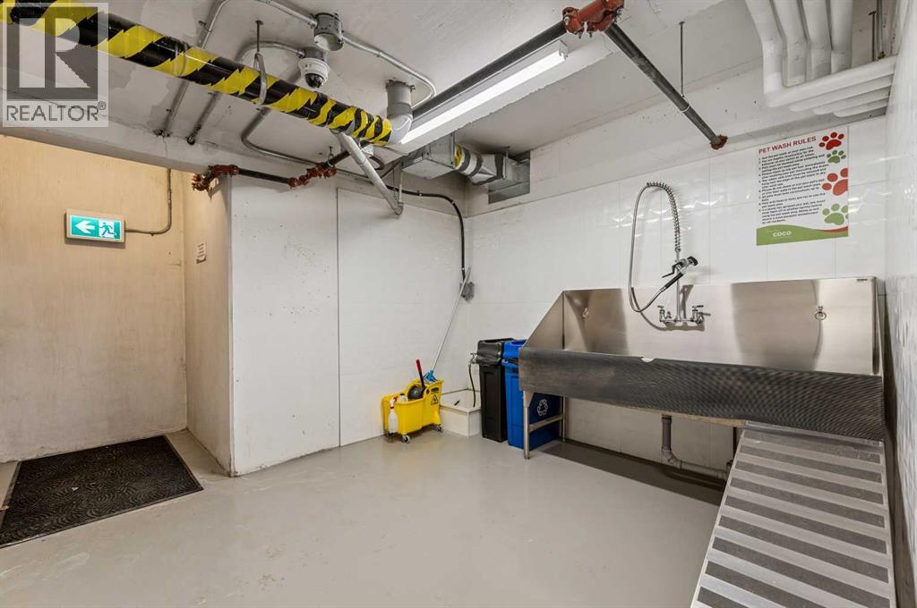 111, 3375 15 Street Sw, Calgary, Alberta  T2T 4A2 - Photo 33 - A2263425