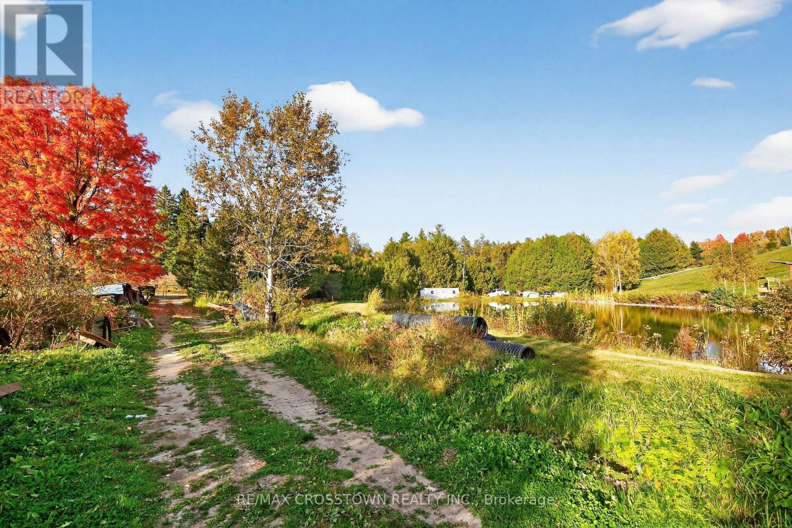 3971 12th Line, Bradford West Gwillimbury, Ontario  L0L 1L0 - Photo 35 - N12469043
