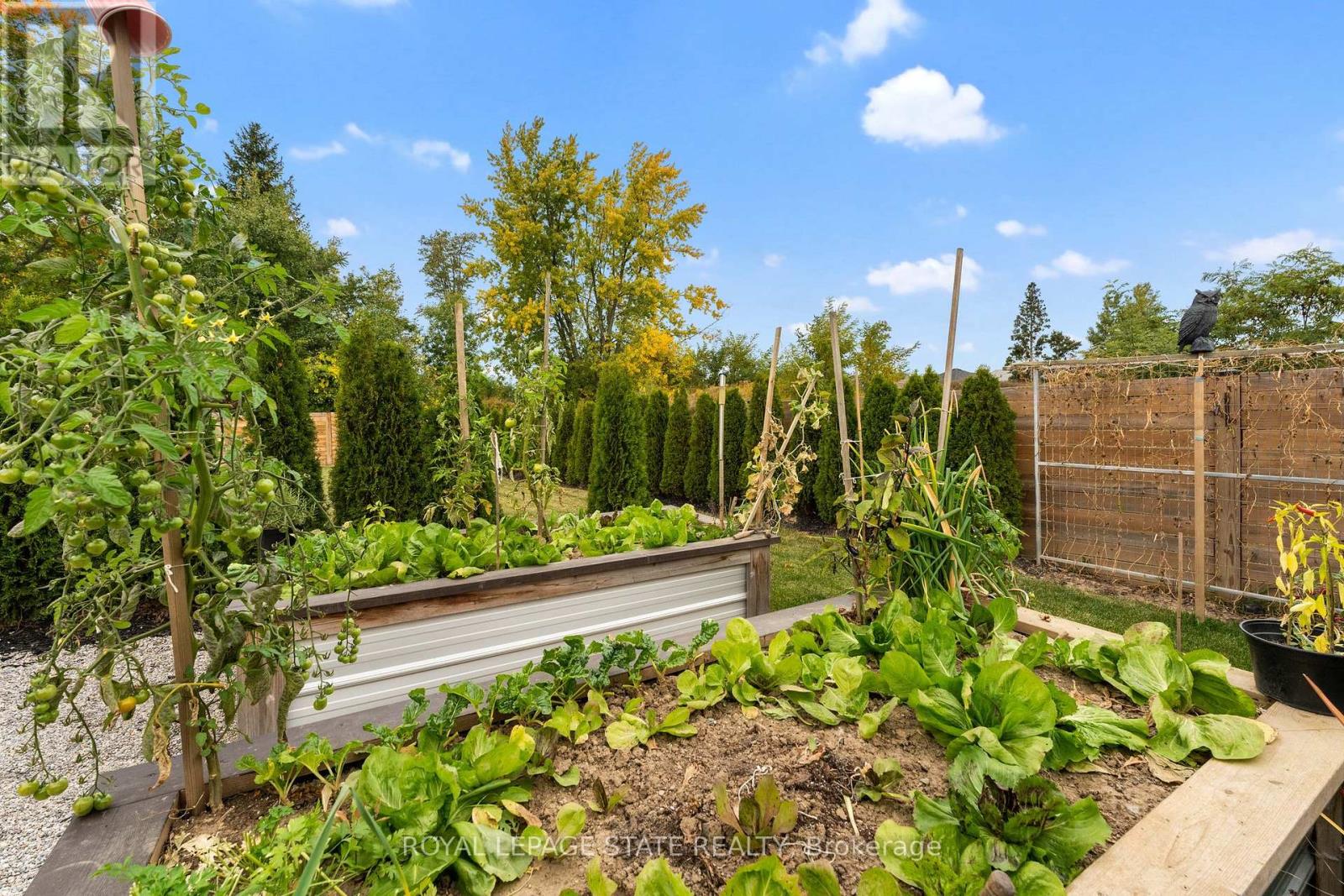 9848 Twenty Road W, Hamilton, Ontario  L0R 1W0 - Photo 50 - X12469027