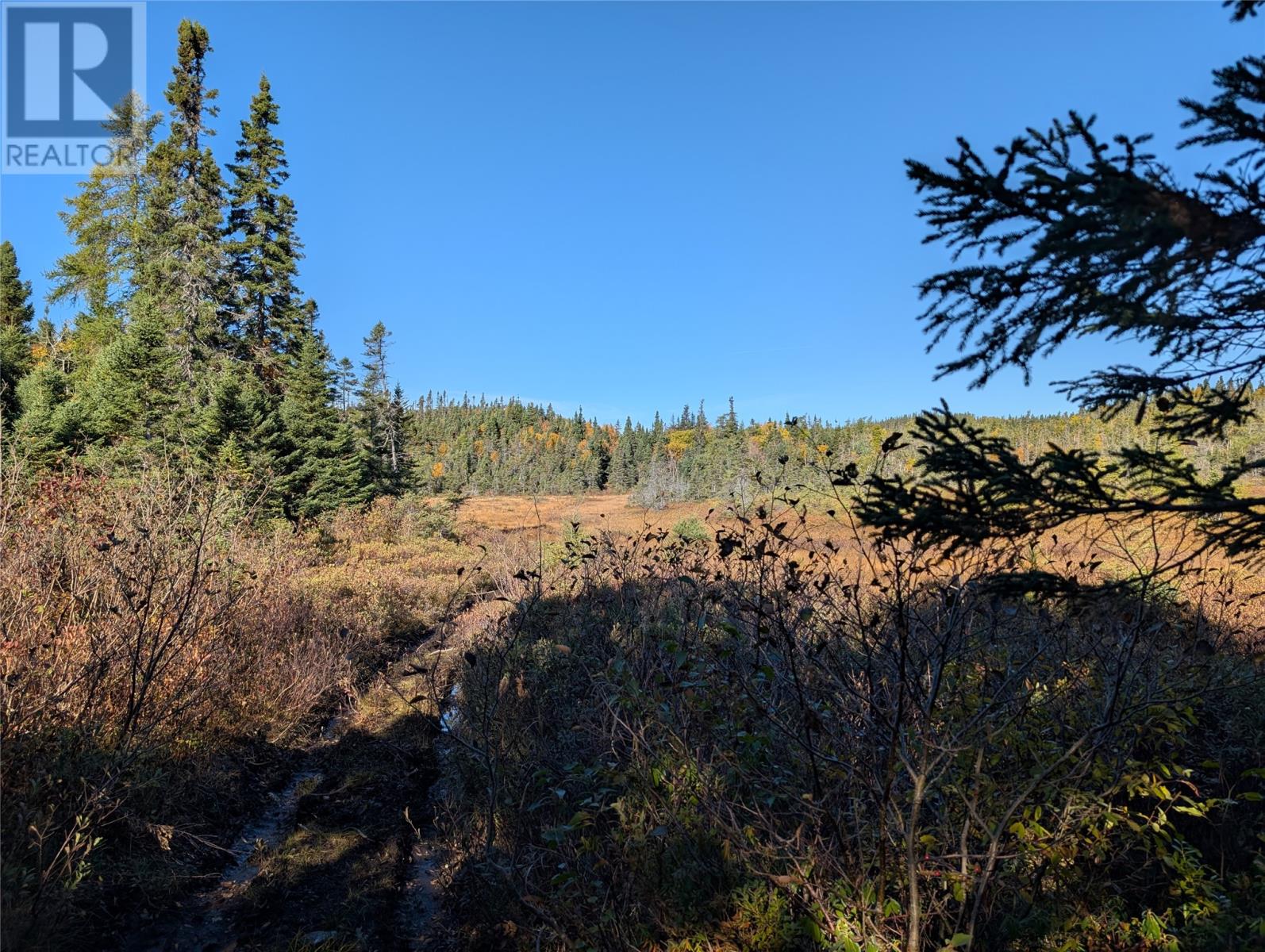 0 Main Road, Little Ward Harbour, Newfoundland & Labrador  A0J 0A6 - Photo 9 - 1291338