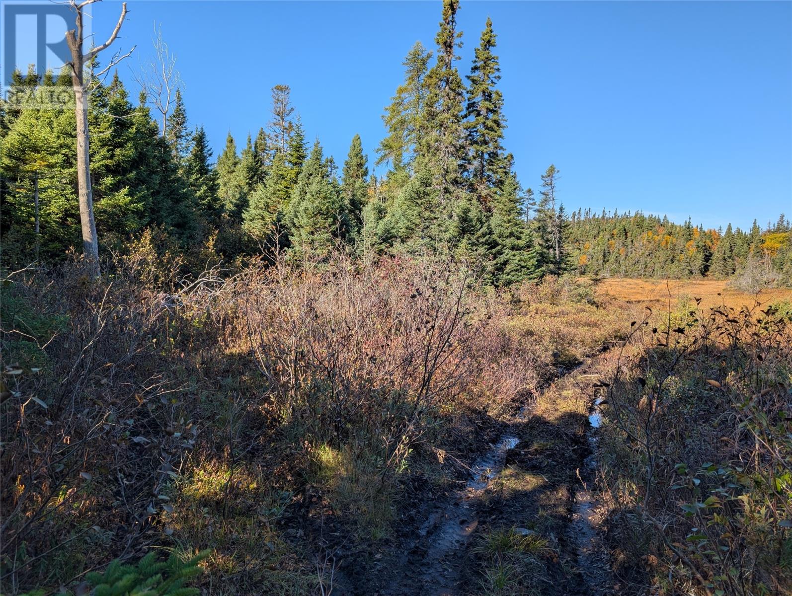0 Main Road, Little Ward Harbour, Newfoundland & Labrador  A0J 0A6 - Photo 10 - 1291338