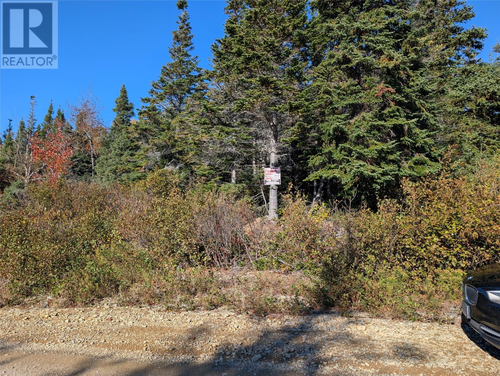0 Main Road, Little Ward Harbour, Newfoundland & Labrador  A0J 0A6 - Photo 13 - 1291338