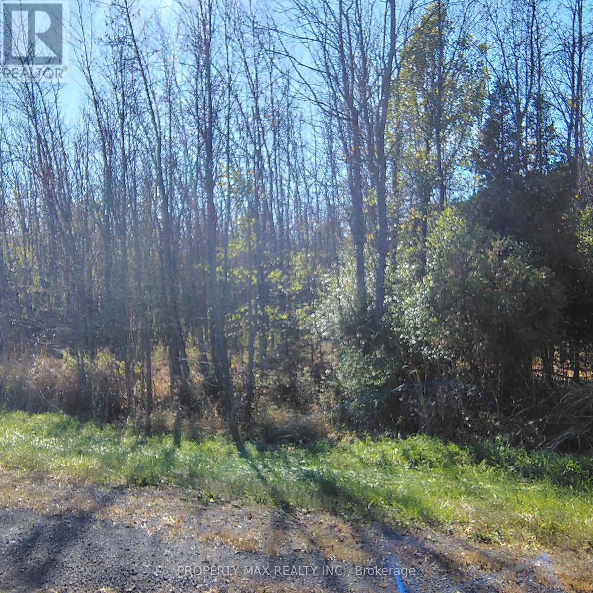Na Aultsville Road, South Stormont, Ontario  K0C 1M0 - Photo 13 - X12469078