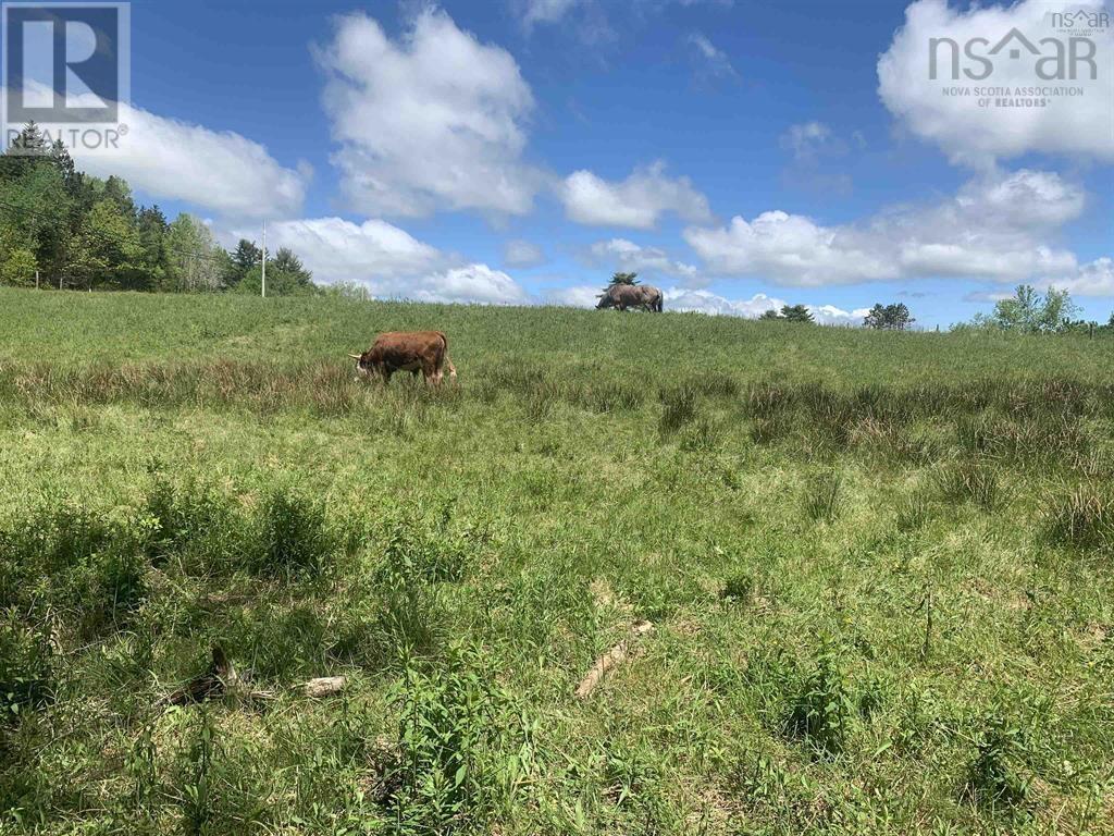 New Cumberland Road, Pleasantville, Nova Scotia  B0R 1G0 - Photo 14 - 202526050