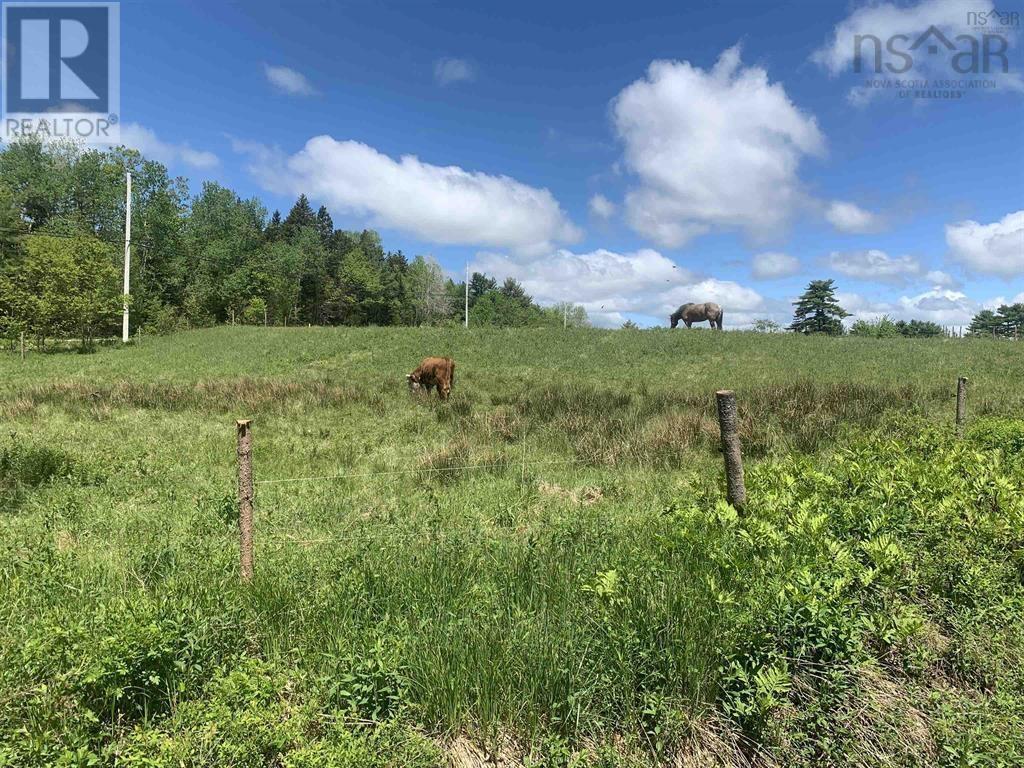 New Cumberland Road, Pleasantville, Nova Scotia  B0R 1G0 - Photo 9 - 202526050