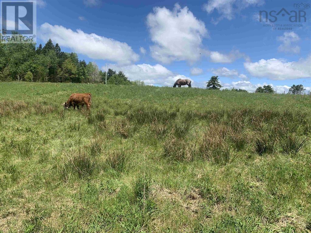 New Cumberland Road, Pleasantville, Nova Scotia  B0R 1G0 - Photo 11 - 202526050