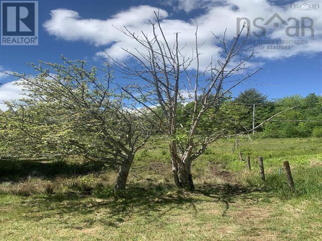 New Cumberland Road, Pleasantville, Nova Scotia  B0R 1G0 - Photo 12 - 202526050