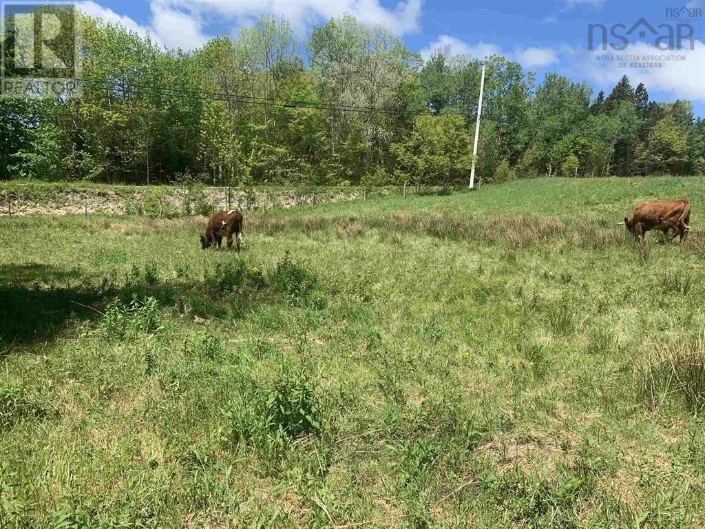 New Cumberland Road, Pleasantville, Nova Scotia  B0R 1G0 - Photo 8 - 202526050