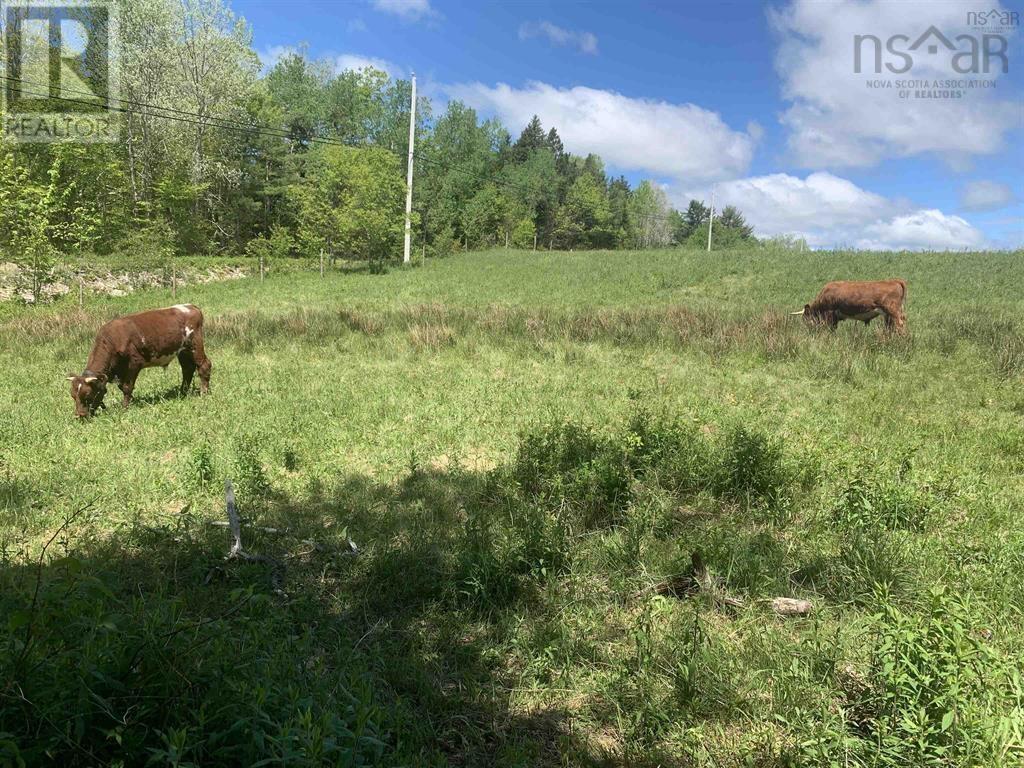 New Cumberland Road, Pleasantville, Nova Scotia  B0R 1G0 - Photo 4 - 202526050