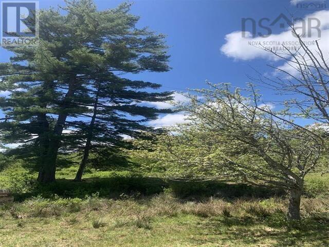 New Cumberland Road, Pleasantville, Nova Scotia  B0R 1G0 - Photo 13 - 202526050