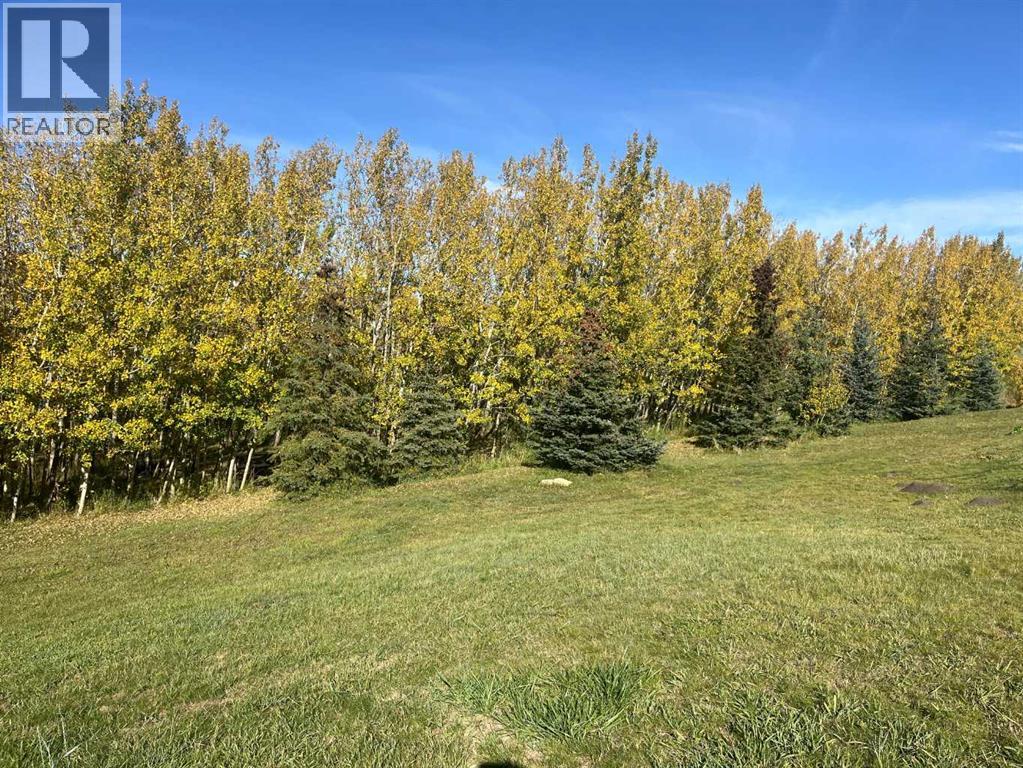 29407 Township Rd 3-0, Twin Butte, Alberta  T0K 1W0 - Photo 40 - A2262168