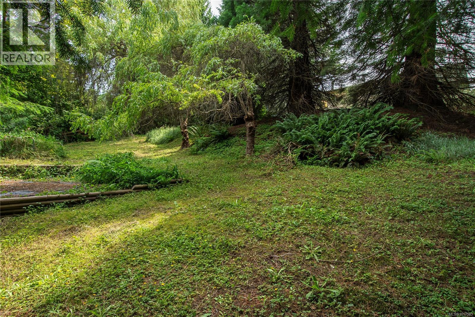 880 Pinecrest Rd, Campbell River, British Columbia  V9W 3P3 - Photo 46 - 1017593