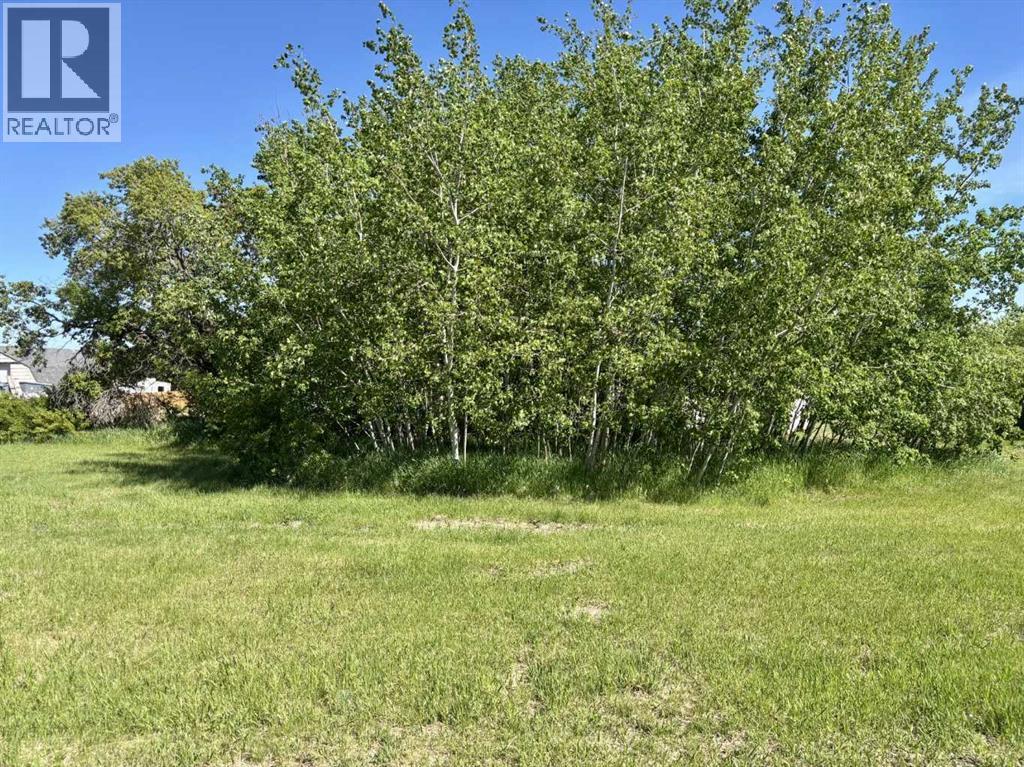 5315 51 Street, Mirror, Alberta  T0B 3C0 - Photo 34 - A2185664