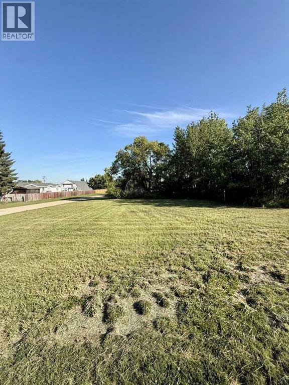 5315 51 Street, Mirror, Alberta  T0B 3C0 - Photo 41 - A2185664