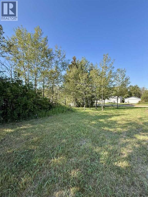 5315 51 Street, Mirror, Alberta  T0B 3C0 - Photo 44 - A2185664