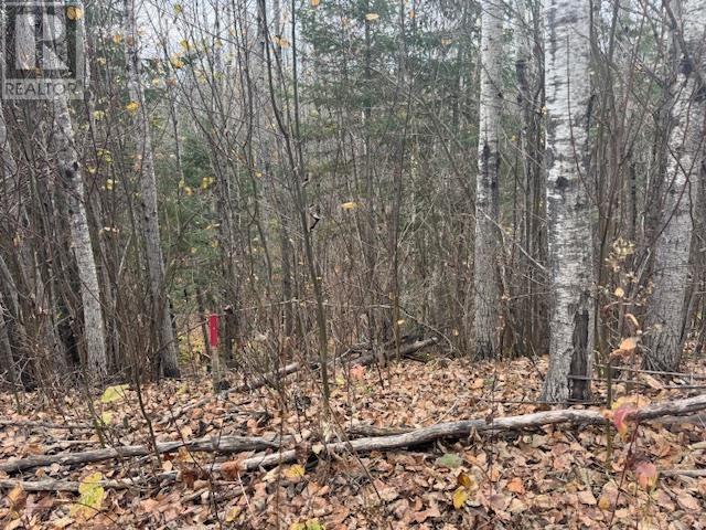 Part 1 55r14100 Highway 130, Oliver Paipoonge, Ontario  P7J 0H5 - Photo 11 - TB253252