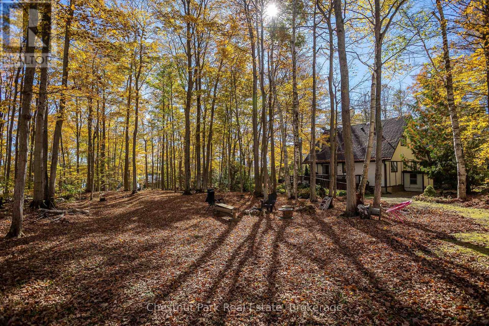 305 Barney's Boulevard, Northern Bruce Peninsula, Ontario  N0H 1Z0 - Photo 37 - X12469374
