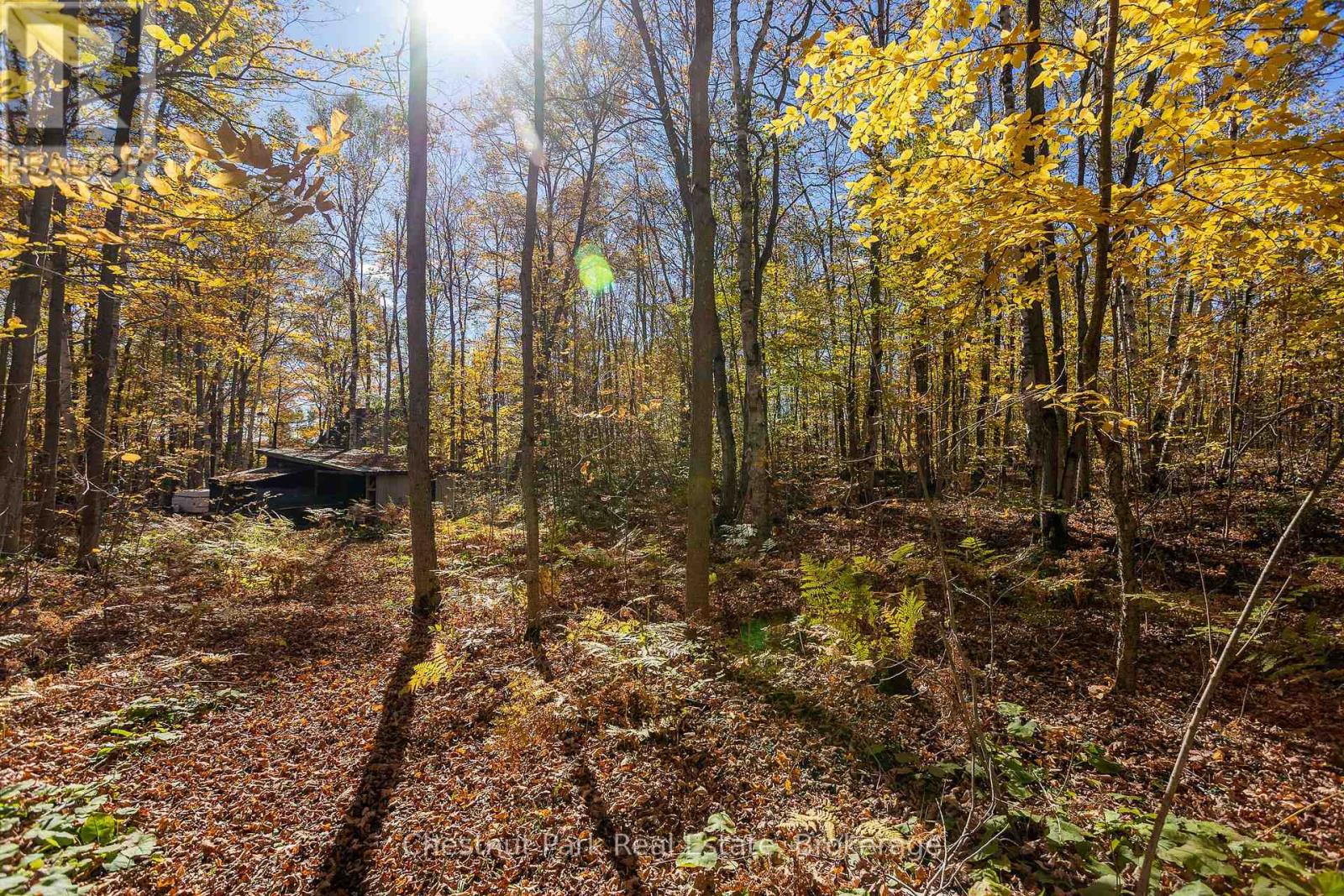 305 Barney's Boulevard, Northern Bruce Peninsula, Ontario  N0H 1Z0 - Photo 40 - X12469374