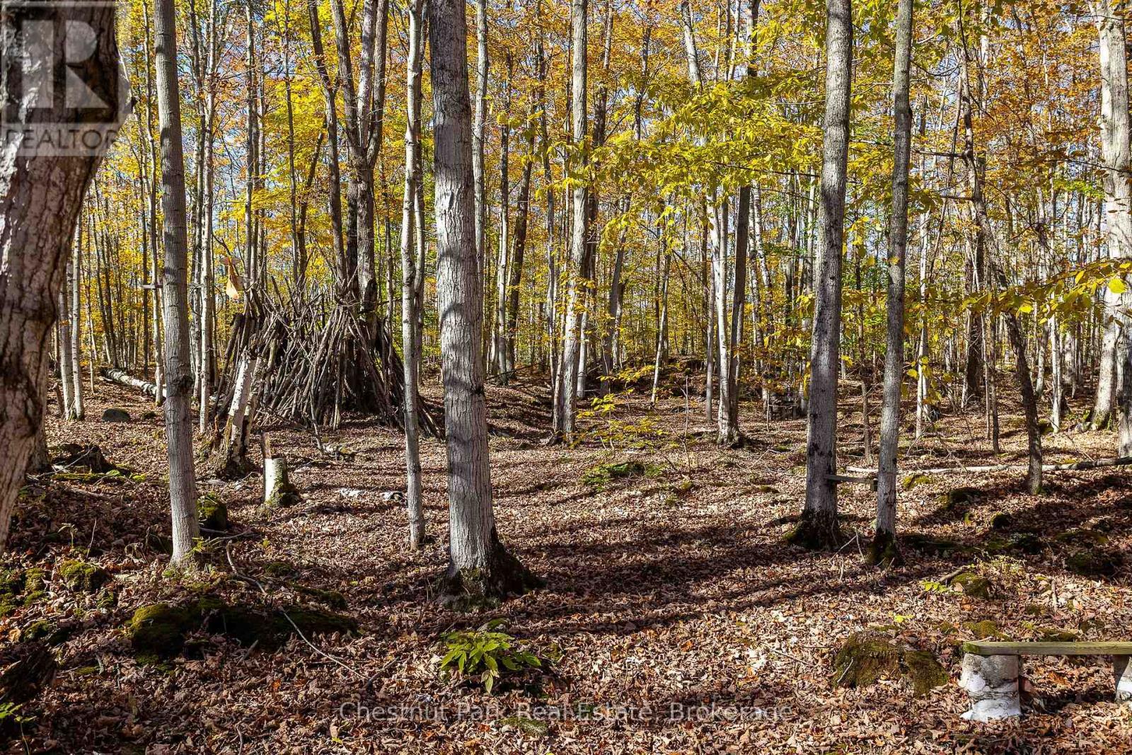 305 Barney's Boulevard, Northern Bruce Peninsula, Ontario  N0H 1Z0 - Photo 41 - X12469374