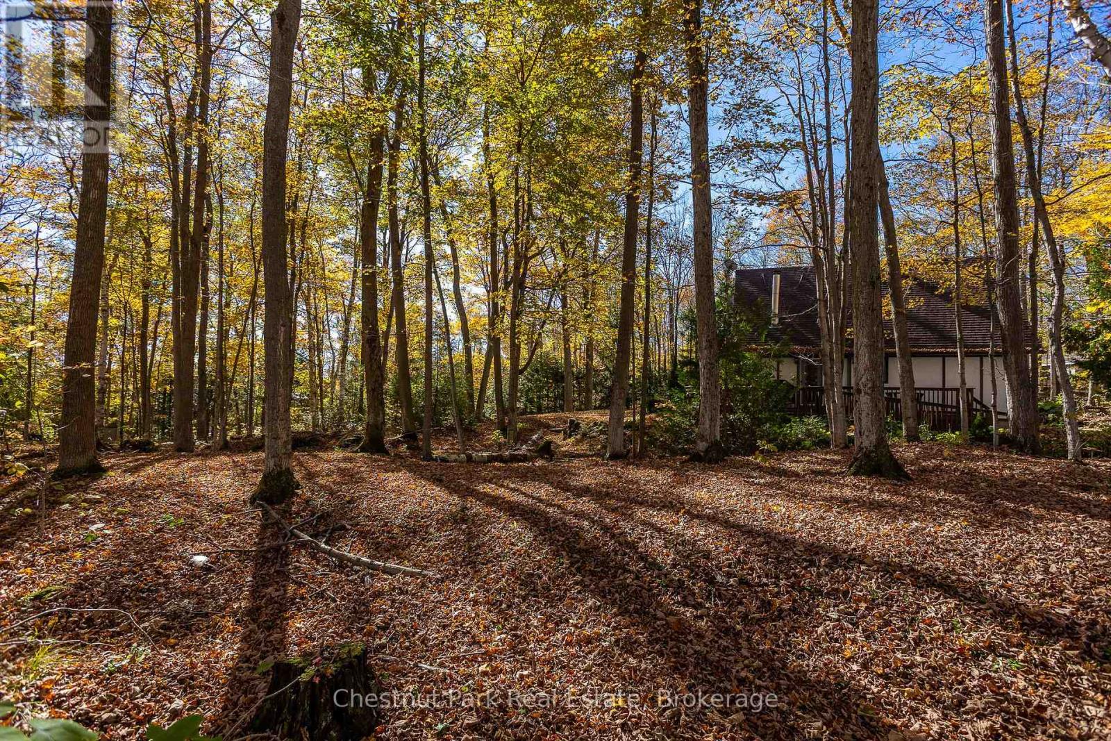 305 Barney's Boulevard, Northern Bruce Peninsula, Ontario  N0H 1Z0 - Photo 42 - X12469374