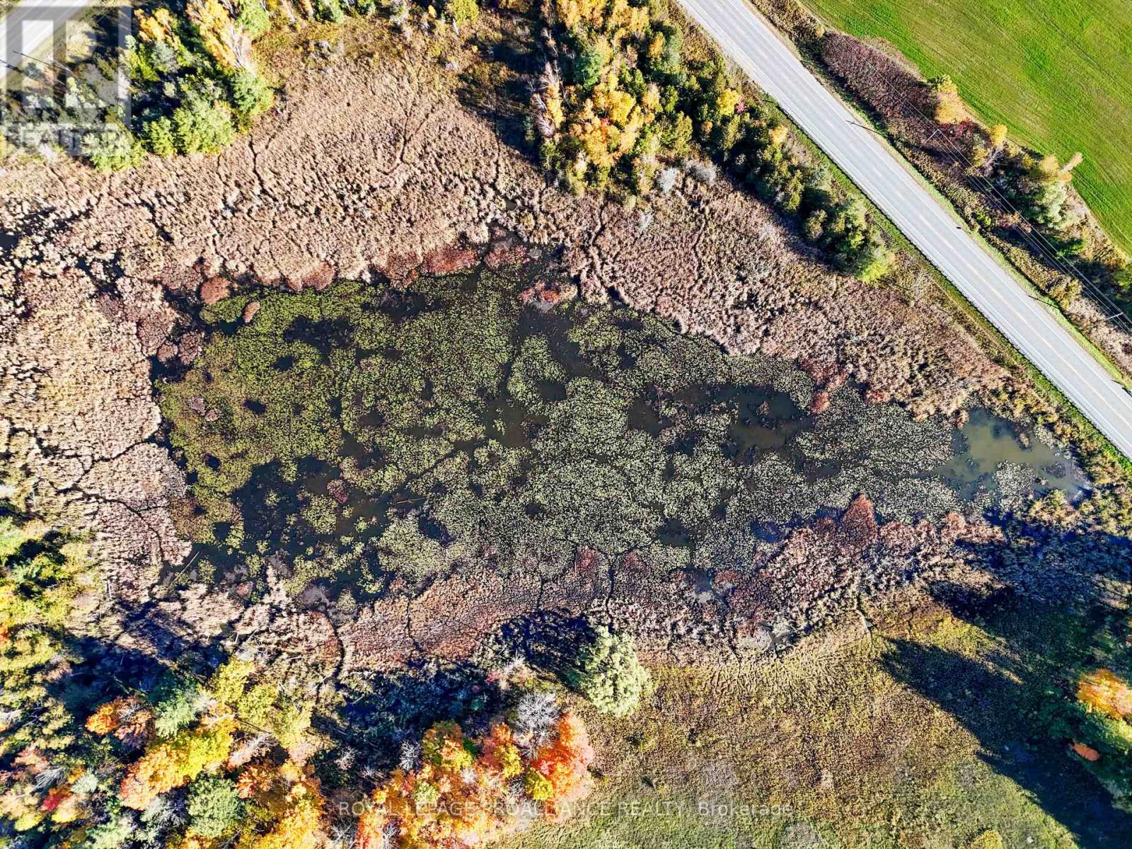 5144 County Road 25, Trent Hills, Ontario  K0K 3K0 - Photo 17 - X12469302