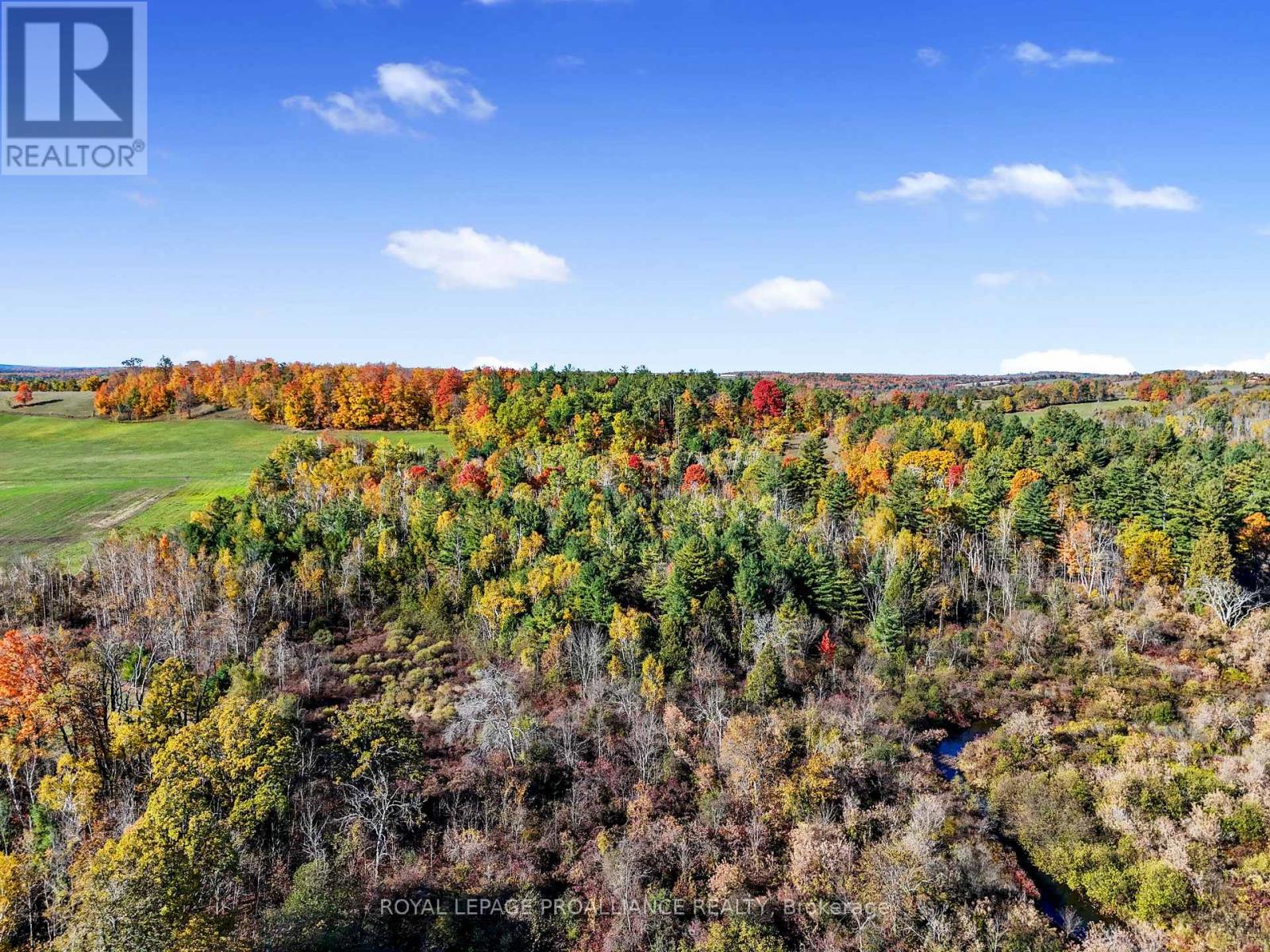 5144 County Road 25, Trent Hills, Ontario  K0K 3K0 - Photo 26 - X12469302