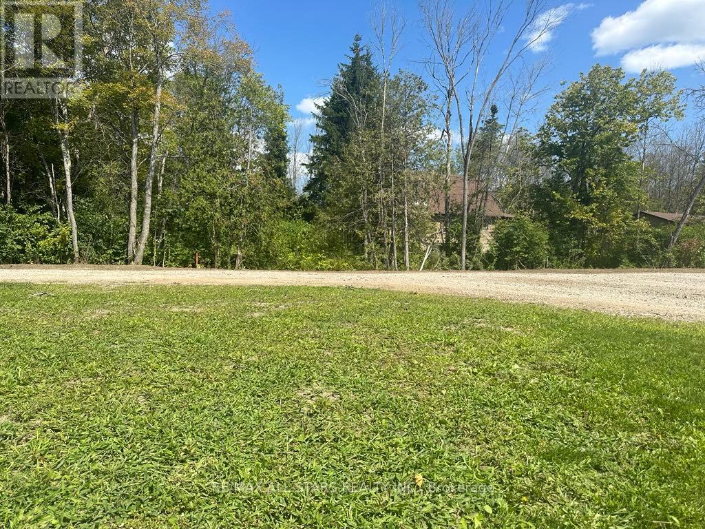Lot 46 River Road, Kawartha Lakes, Ontario  K0M 1N0 - Photo 2 - X12469307