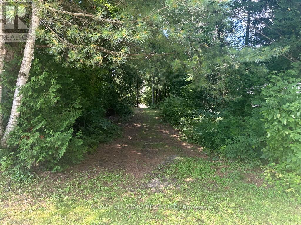 Lot 46 River Road, Kawartha Lakes, Ontario  K0M 1N0 - Photo 3 - X12469307