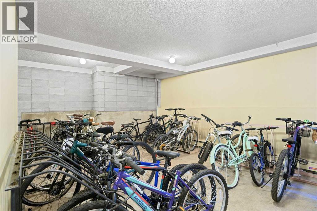 303, 239 6 Avenue Ne, Calgary, Alberta  T2E 0L8 - Photo 29 - A2264449