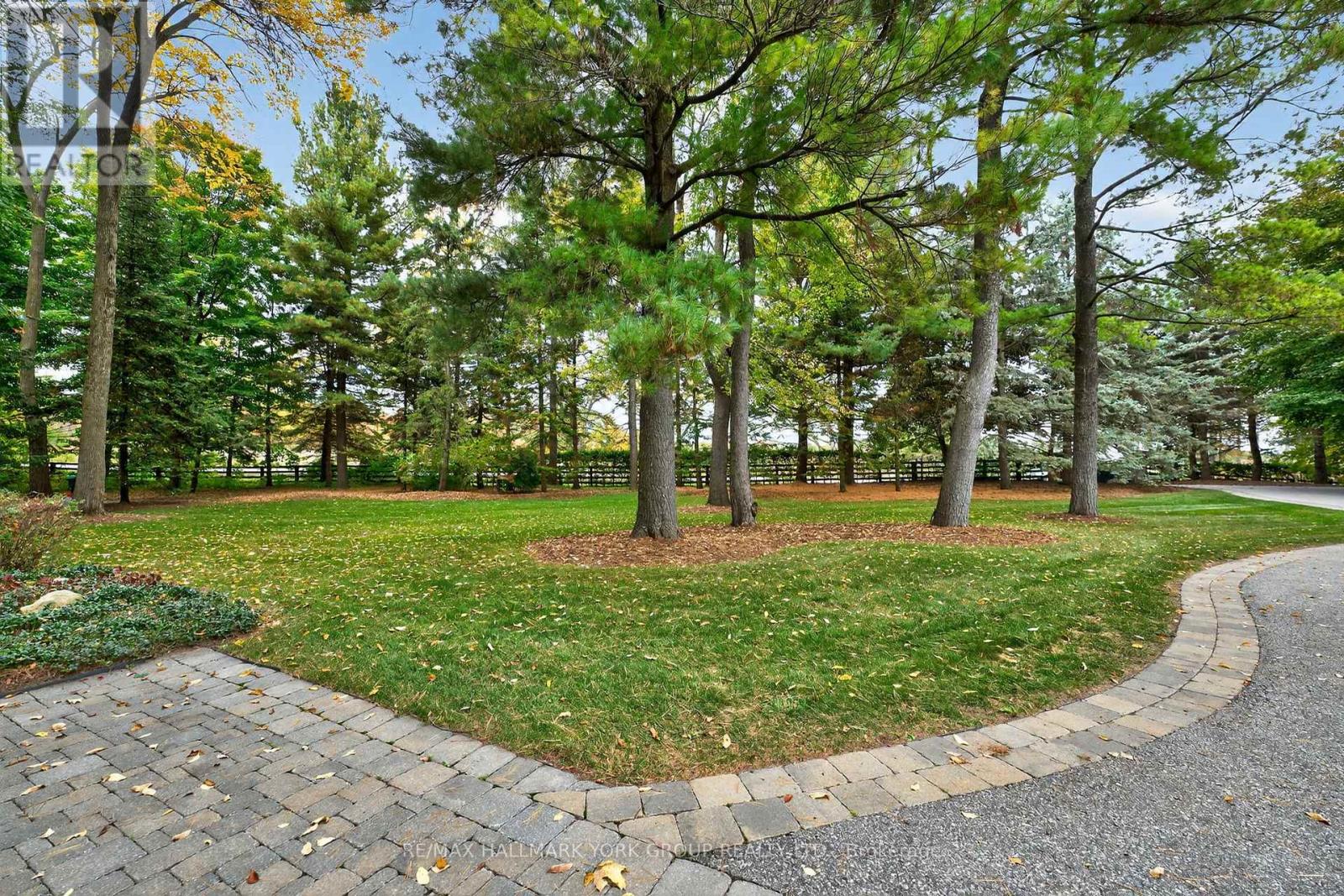 553 St John's Side Road, Aurora, Ontario  L4G 0N1 - Photo 33 - N12469360