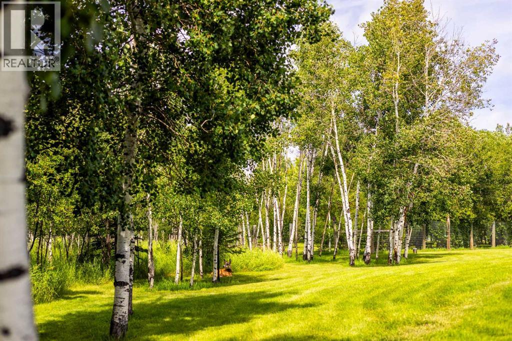 17 Oak Avenue, Rural Foothills County, Alberta  T1S 1K6 - Photo 45 - A2241615