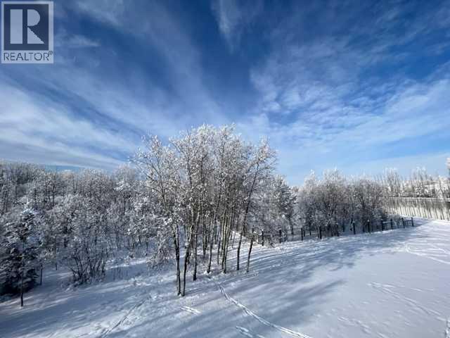 17 Oak Avenue, Rural Foothills County, Alberta  T1S 1K6 - Photo 50 - A2241615