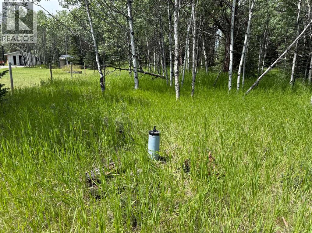 24 Pears Road, Waiparous, Alberta  T4C 1B7 - Photo 19 - A2243033