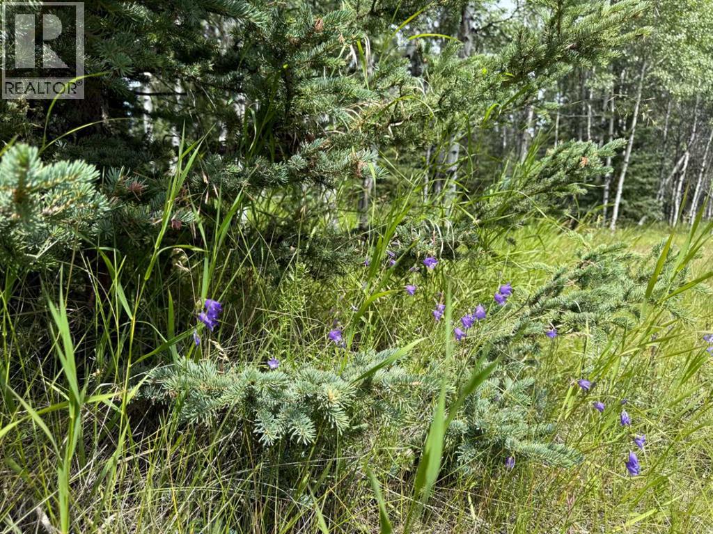 24 Pears Road, Waiparous, Alberta  T4C 1B7 - Photo 18 - A2243033