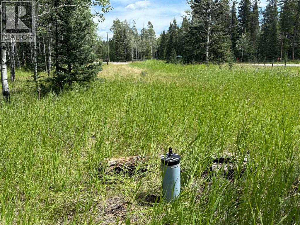 24 Pears Road, Waiparous, Alberta  T4C 1B7 - Photo 17 - A2243033